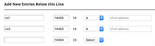کنترل خطای DNS در WHM